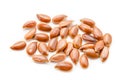 Brown flax seed or linseeds. Royalty Free Stock Photo