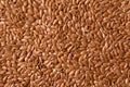 Brown flax seeds Royalty Free Stock Photo