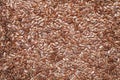 brown flax seeds texture Royalty Free Stock Photo