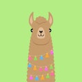Brown fluffy llama head vector illustration