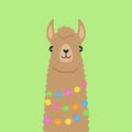 Brown fluffy llama head vector illustration