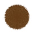 Brown Fluffy Vector Hair Ball