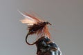 Brown fly fishing bait Royalty Free Stock Photo