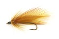 Brown fly fishing fly Royalty Free Stock Photo