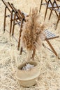 Brown folding chairs decorated with pampas grass. The wedding ceremony in the countryside. Seats for guests Royalty Free Stock Photo