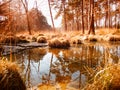 Brown Forest Pool, Swinley Forest, Bracknell. UK