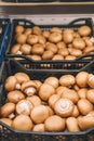 Brown fresh champignons in supermarket box, grocery department. Tasty mushrooms, vegan product. Reflection in mirror above Royalty Free Stock Photo