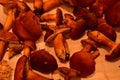 brown fresh mushrooms fungus on towel on table