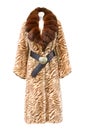 Brown fur coat Royalty Free Stock Photo