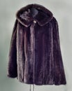 Brown fur coat with a hood of mink fur for avtoledi large clan
