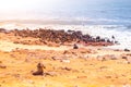 Brown fur seal, Arctocephalus pusillus, colony at Cape Cross in Namibia, Africa Royalty Free Stock Photo