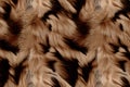 Brown Fur Texture Background, Wild Animal Hair Pattern, Fluffy Wool Mockup, Abstract Generative AI Illustration Royalty Free Stock Photo