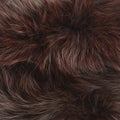 Brown fur texture Royalty Free Stock Photo