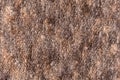 Brown fur wool abstract pattern nature skin soft warm fluffy background texture Royalty Free Stock Photo