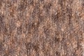 Brown fur wool abstract pattern nature skin soft warm fluffy background texture Royalty Free Stock Photo