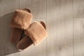 Brown fuzzy slippers on floor indoors, flat lay. Space for text