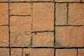 Garden Path Stones with Grass Between