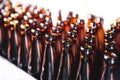 Brown glass beer drink alcohol bottles, brewery conveyor, production line