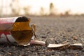 A brown glass bottle of beer broken on the floor. Royalty Free Stock Photo