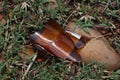 A brown glass bottle of beer broken on the ground. Royalty Free Stock Photo