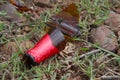A brown glass bottle of beer broken on the ground. Royalty Free Stock Photo