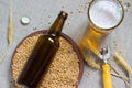 Brown glass bottle. Ceramic plate with wheat. Mug of beer and wheat ears of on sacking. Royalty Free Stock Photo