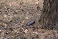 Brown glass bottle on the ground in a pine forest Royalty Free Stock Photo