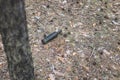 Brown glass bottle on the ground in a pine forest Royalty Free Stock Photo