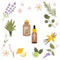 Brown glass bottle and popular essential oil plants, cartoon style. Concept of nature aromatherapy. Trendy modern vector