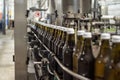 Brown glass bottles of drinking water move on the conveyor belt in the production hall Royalty Free Stock Photo