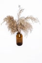 Brown glass vase with reeds on a white background. home decor