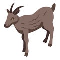 Brown goat icon, isometric style Royalty Free Stock Photo