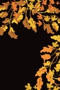 Brown and Gold border of Autumn tree leaves in upper right and right side on black, for fall border