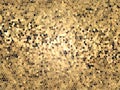 Brown gold mosaic background