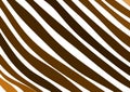 Brown gradient stripes background pattern design Royalty Free Stock Photo