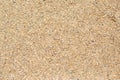 Tiny gravel texture on brown concrete wall in sunny day