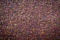 Brown gravel texture background Royalty Free Stock Photo