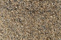 Brown gravel texture Royalty Free Stock Photo