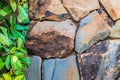 Brown gray big stone wall with green leaves on left side. Background Royalty Free Stock Photo