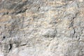 Brown and Gray Rock Texture Royalty Free Stock Photo