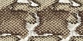 Brown gray snake skin seamless pattern