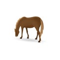 Brown grazing horse isolated image in a flat style. Vector. Royalty Free Stock Photo