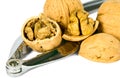 Brown greek nut with nutcracker Royalty Free Stock Photo