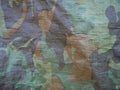 Brown and green camouflage military canvas texture