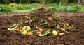 Brown and Green Compost Pile in a Garden Royalty Free Stock Photo