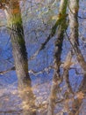 Reflections in Moving Water, a Shallow Stream with Trees Reflected in the Water