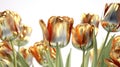Brown And Green Tulip Flowers Glitter Super Detail. Generative AI