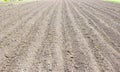 Brown ground plowed field, harrow lines. Arable background. A freshly ploughed field Royalty Free Stock Photo