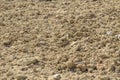 Brown ground soil texture Royalty Free Stock Photo