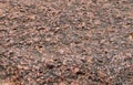 Brown ground surface.Close up natural background.soil surface top view Royalty Free Stock Photo